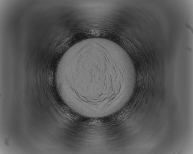 X0000094780656200712141621