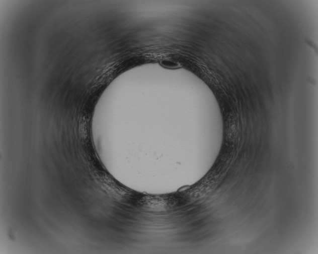 X0000094780658200712141621