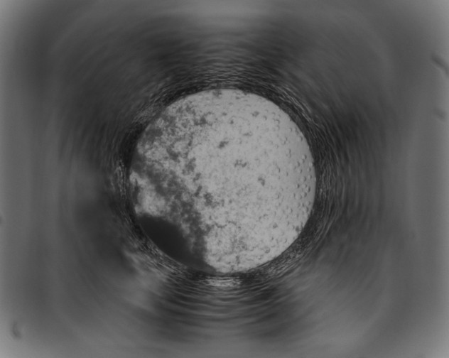 X0000094780659200712141621