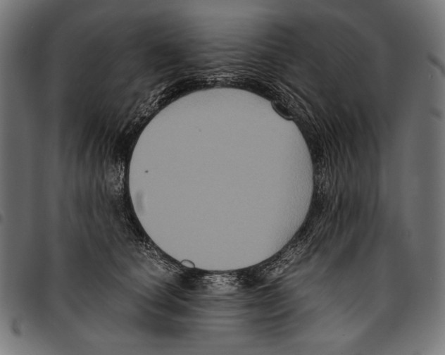 X0000094780660200712141621