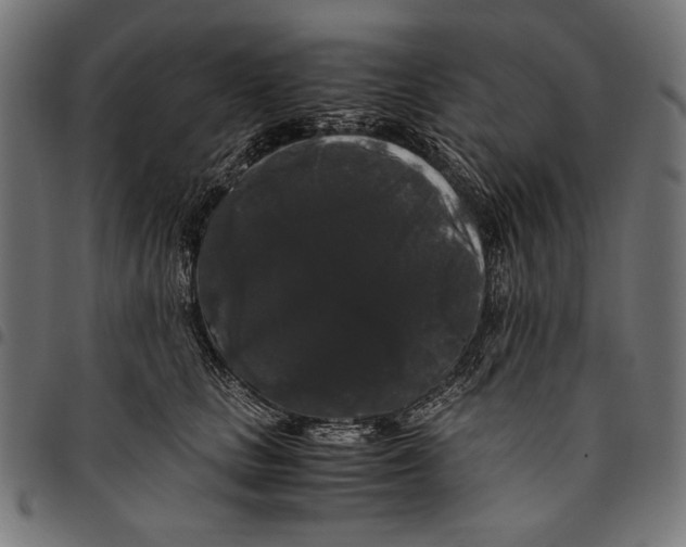 X0000094780661200712141621