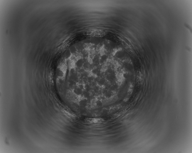 X0000094780663200712141621