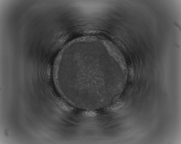 X0000094780668200712141621