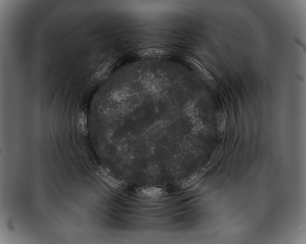 X0000094780669200712141621