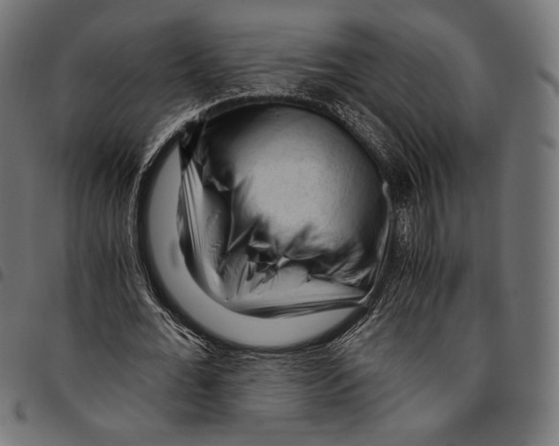 X0000094780676200712141621