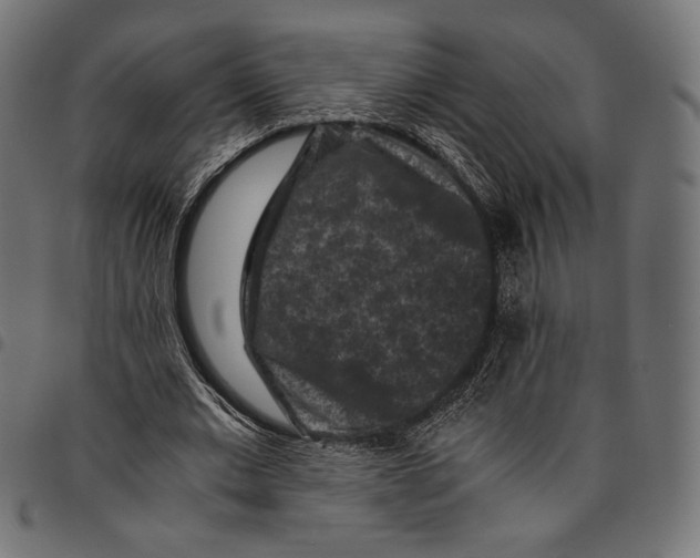 X0000094780677200712141621