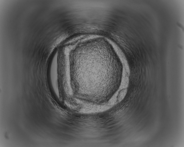 X0000094780679200712141621