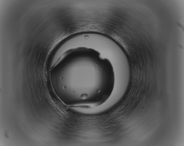 X0000094780680200712141621