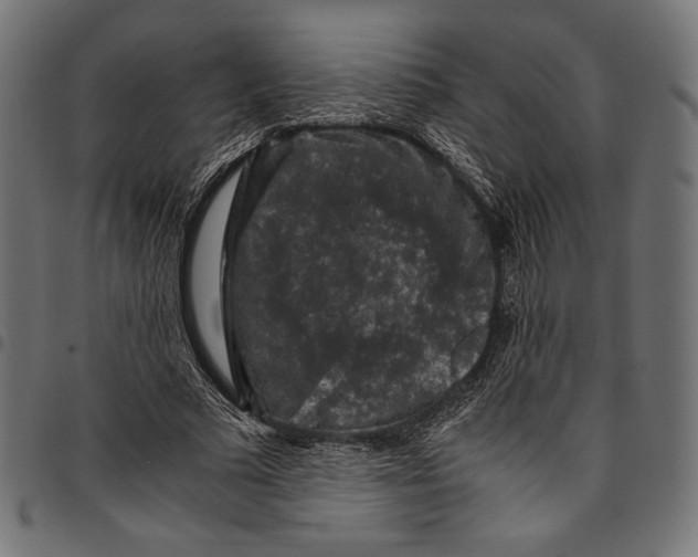 X0000094780681200712141621