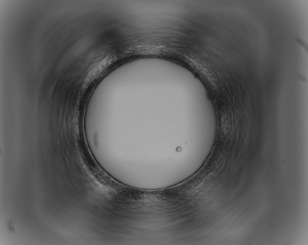 X0000094780682200712141621