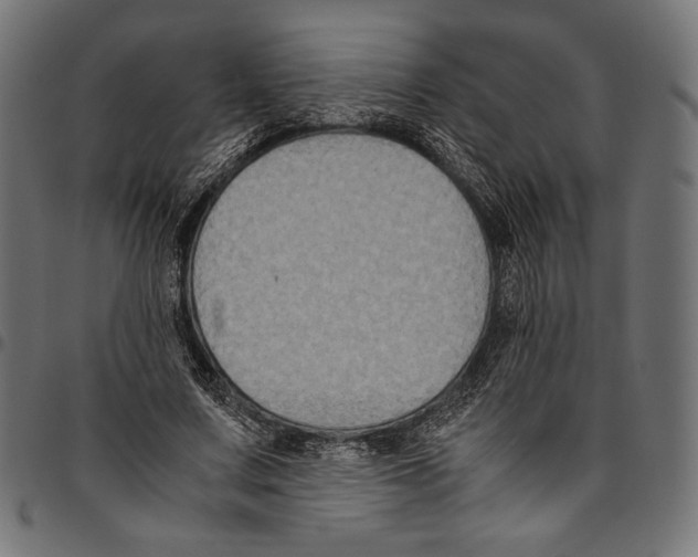 X0000094780683200712141621