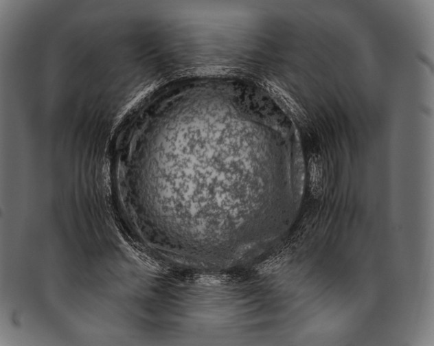 X0000094780684200712141621