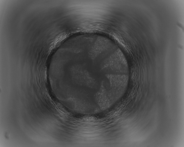 X0000094780685200712141620