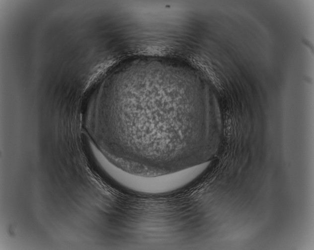 X0000094780688200712141620