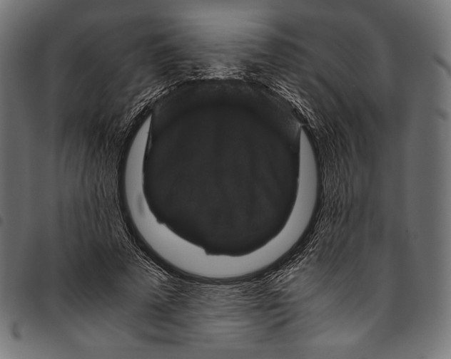 X0000094780689200712141620