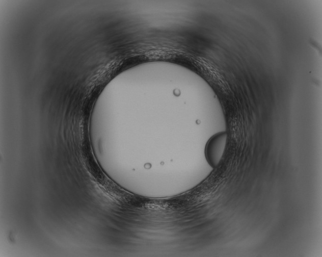 X0000094780690200712141620