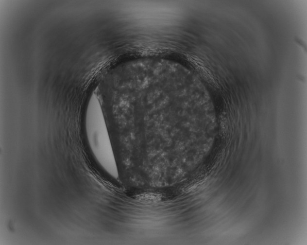 X0000094780691200712141620