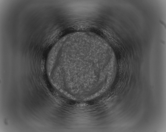 X0000094780695200712141620