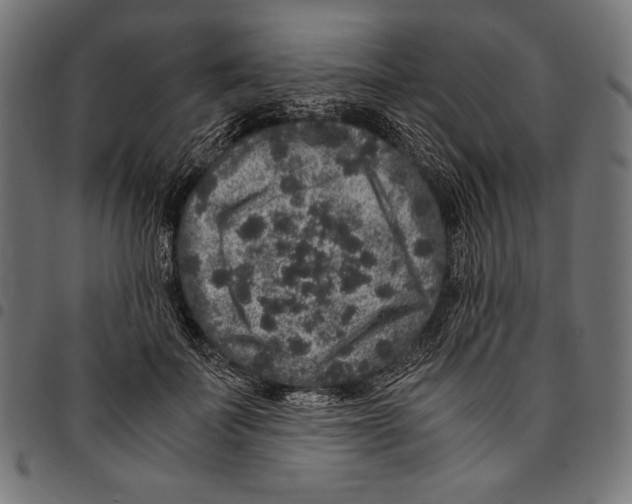 X0000094780699200712141620