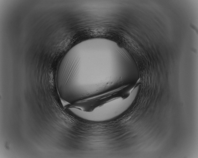 X0000094780700200712141620