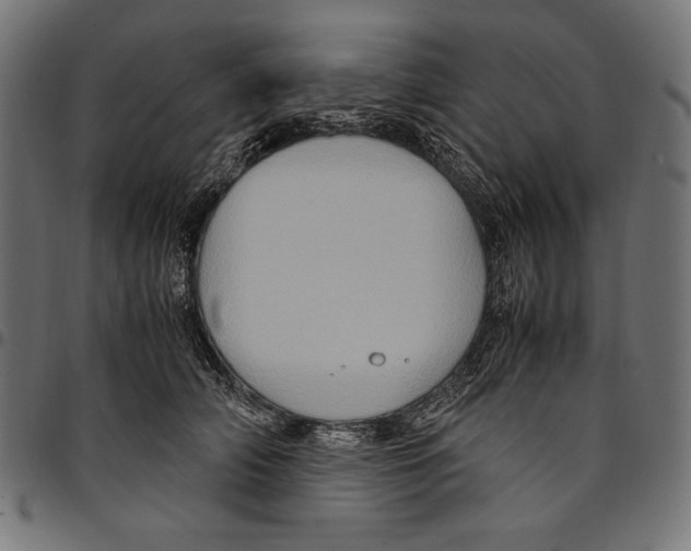 X0000094780706200712141620