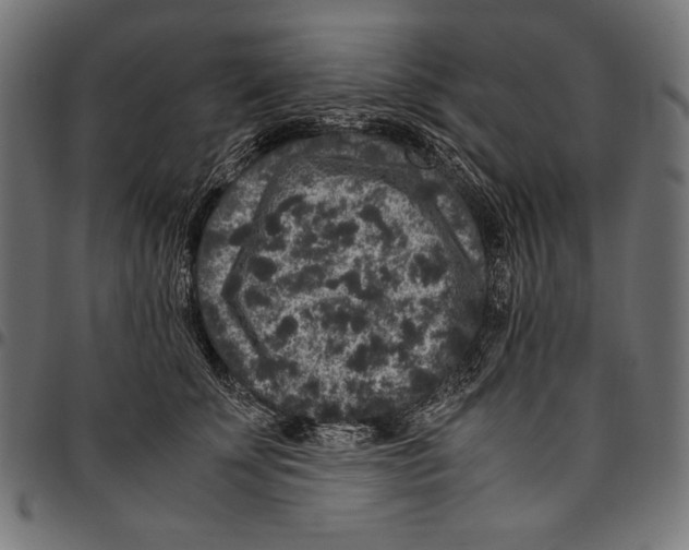 X0000094780707200712141620