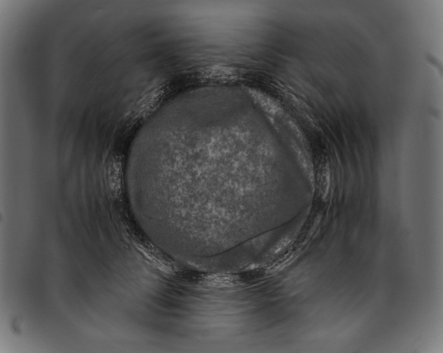 X0000094780708200712141620