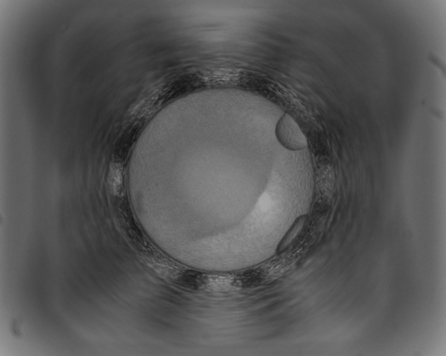 X0000094780709200712141620