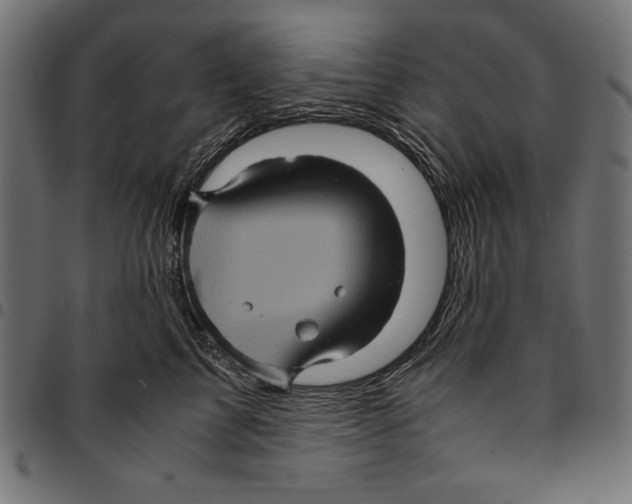 X0000094780713200712141620