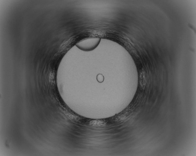 X0000094780714200712141620