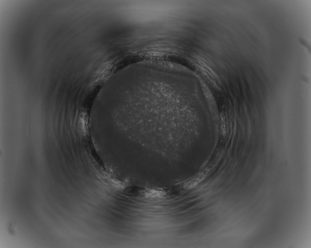 X0000094780718200712141620