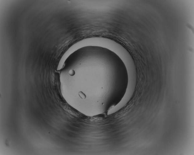 X0000094780720200712141620