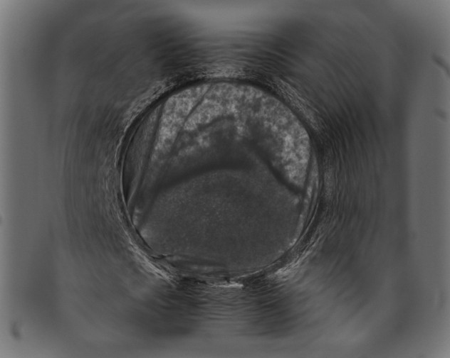 X0000094780721200712141619