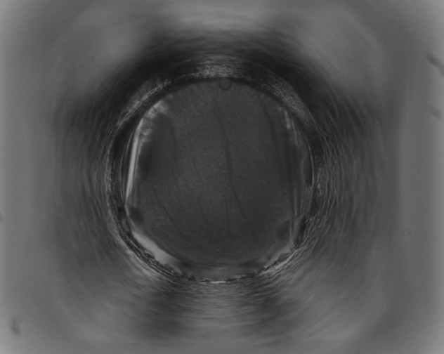 X0000094780722200712141619