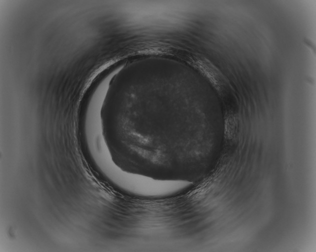 X0000094780724200712141619