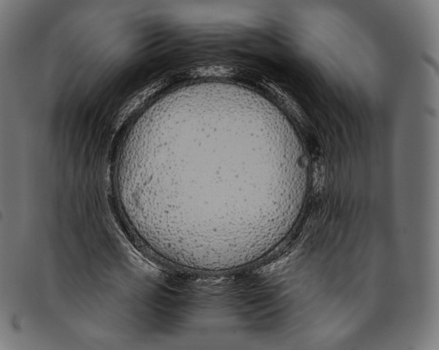 X0000094780725200712141619