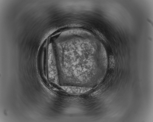 X0000094780726200712141619