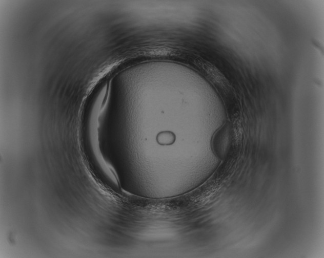 X0000094780728200712141619