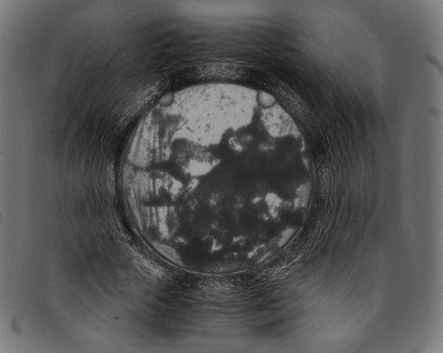 X0000094780729200712141619