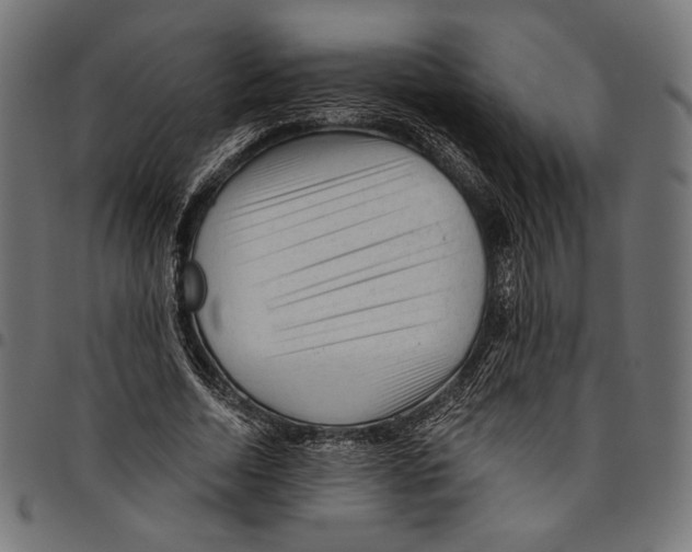 X0000094780730200712141619