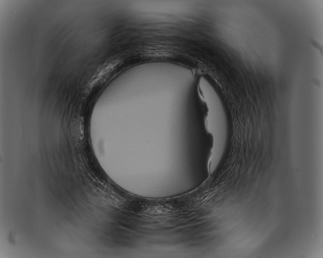 X0000094780731200712141619