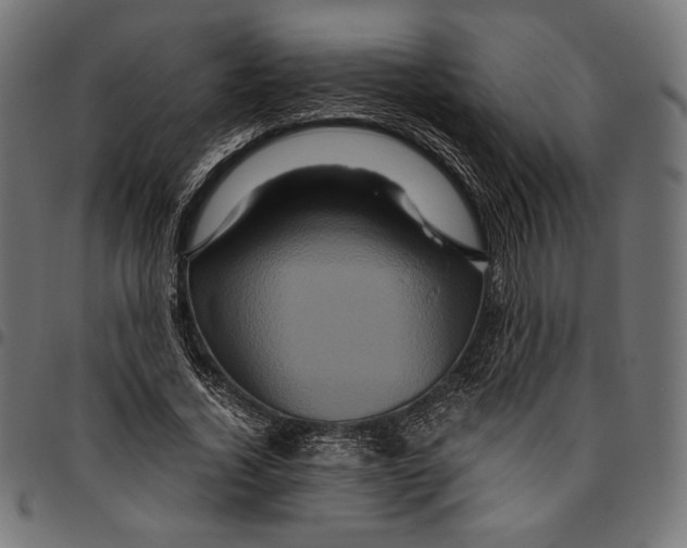 X0000094780732200712141619