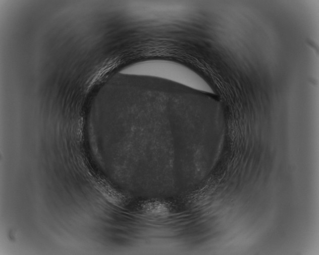 X0000094780735200712141620