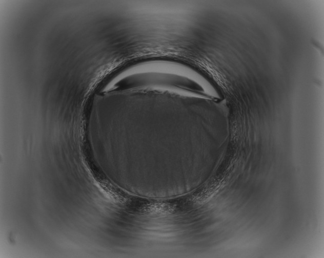 X0000094780736200712141620