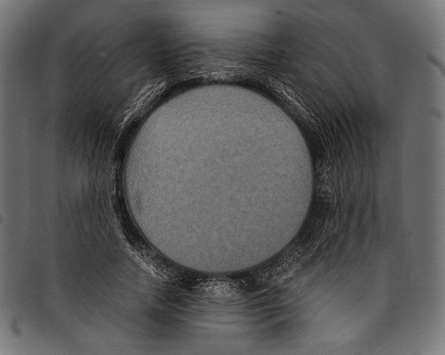 X0000094780738200712141620