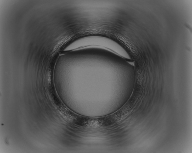 X0000094780740200712141620