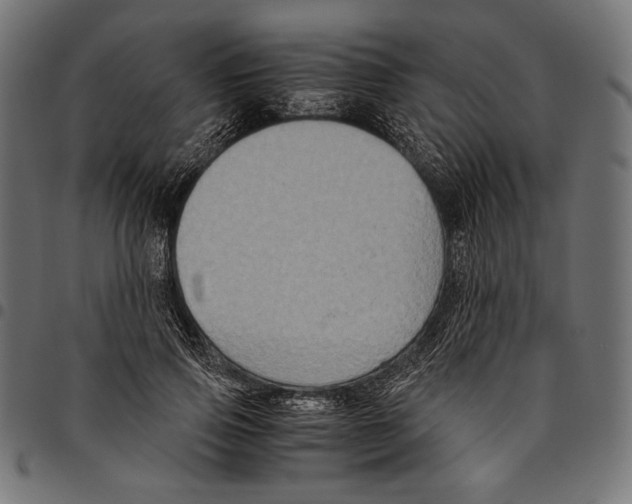 X0000094780741200712141620