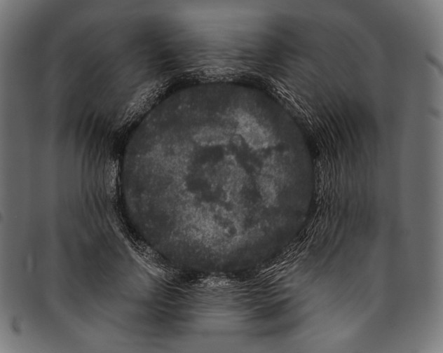 X0000094780742200712141620