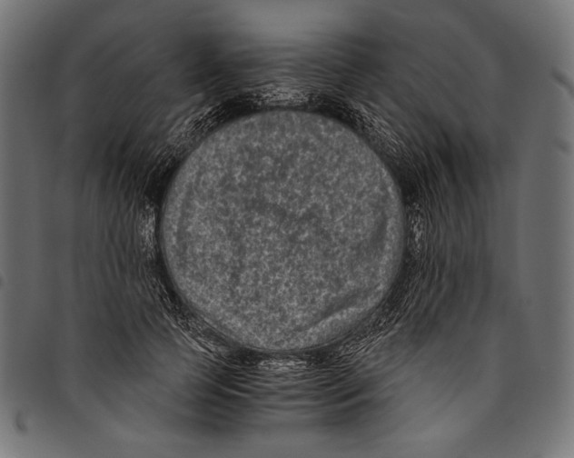 X0000094780745200712141620