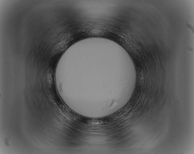 X0000094780746200712141620